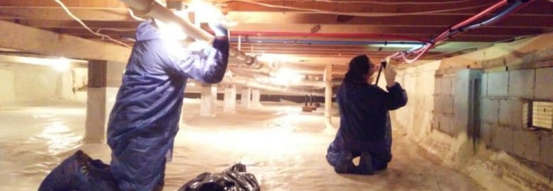 DryHero Water & Mold