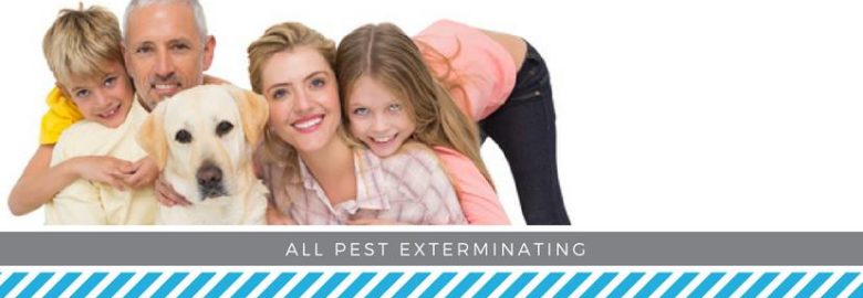 All Pest Exterminating