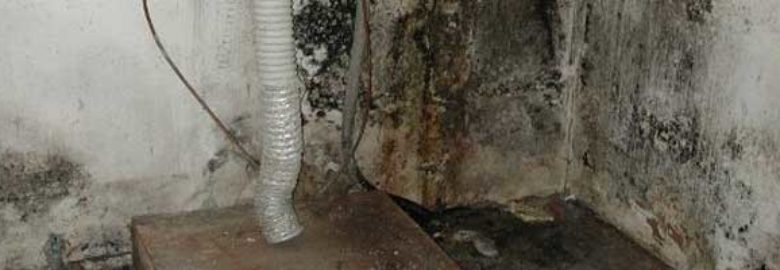 Healthy Way Waterproofing and Mold Remediation, LLC