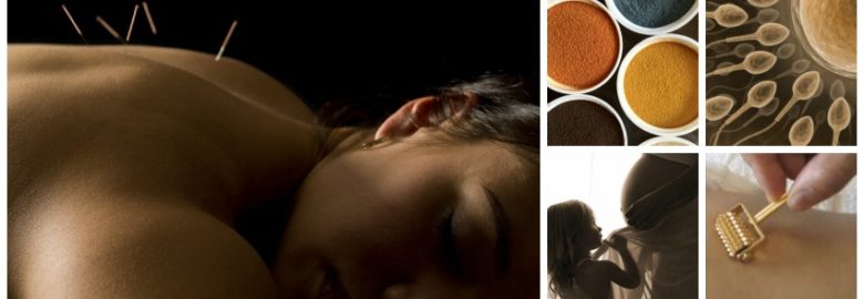 Golden Egg Acupuncture