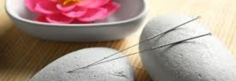 The Lotus Acupuncture And Wellness Center