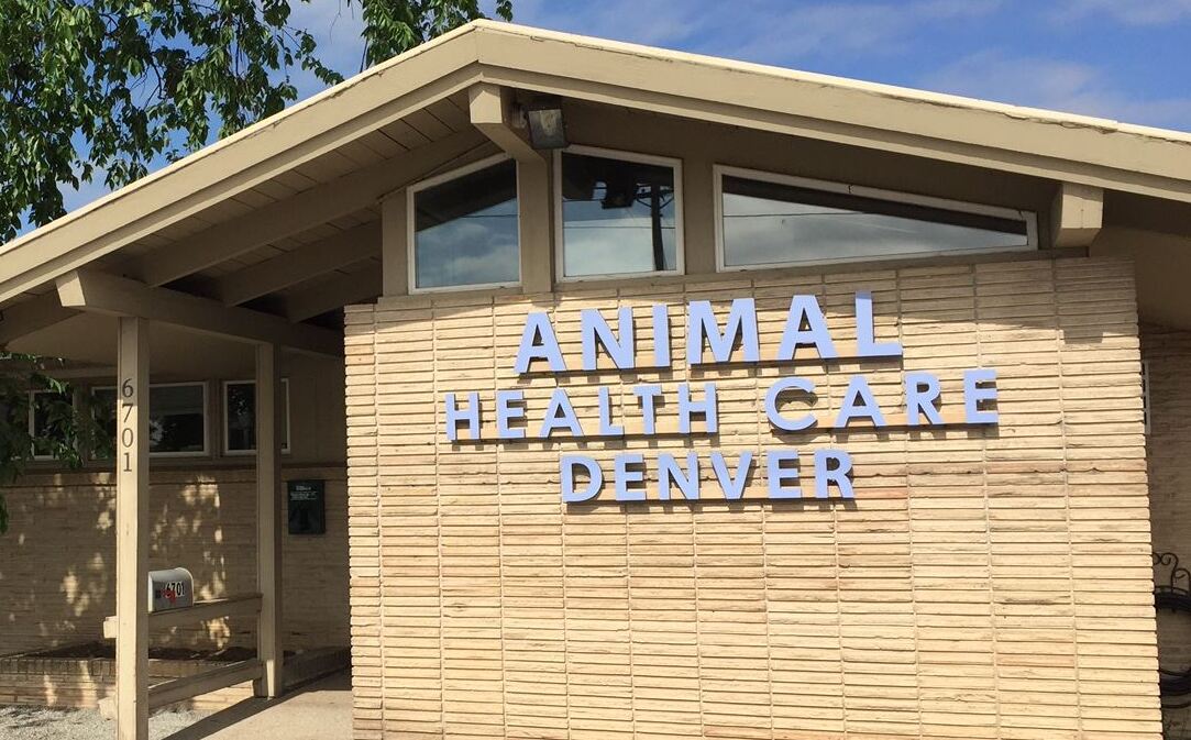 Animal Health Care Denver Directory Datacaptive