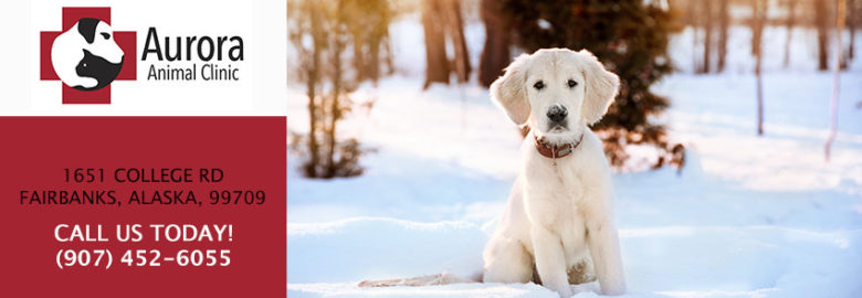 Aurora Animal Clinic