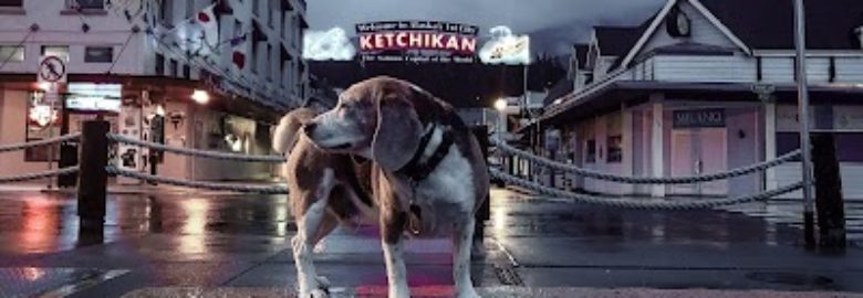 Stonetree Veterinary Clinic