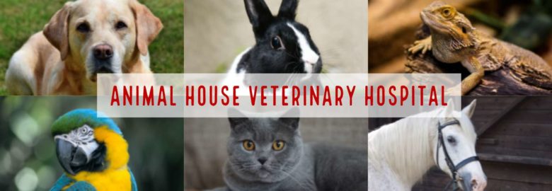 Animal House Veterinary Hospital