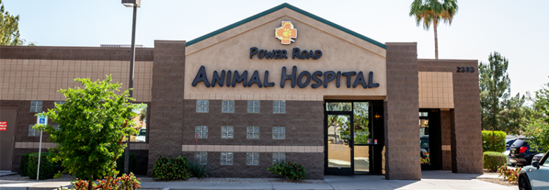 Power Road Animal Hospital