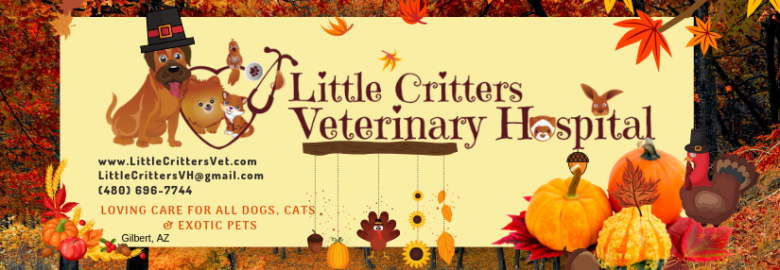Little Critters Veterinary Hospital