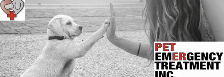 Pet Emergency Treatment