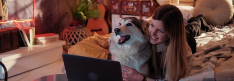 Animal Hospital of the Hills