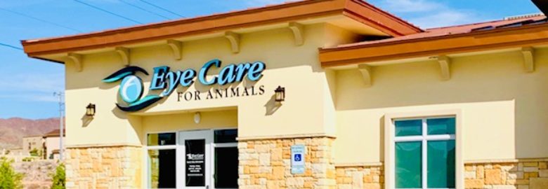 Eye Care for Animals