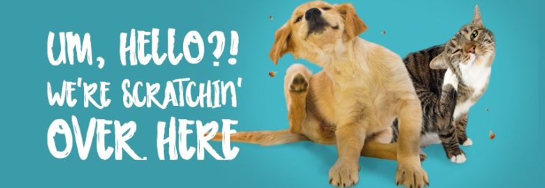 Eastside Animal Hospital