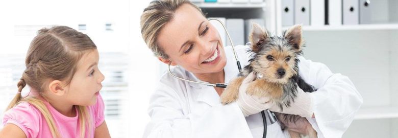 Comet Veterinary Hospital