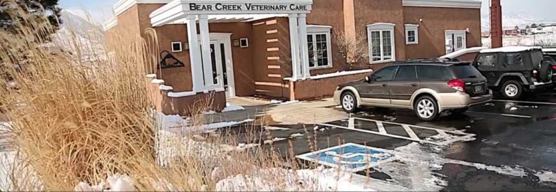 Bear Creek Veterinary Care