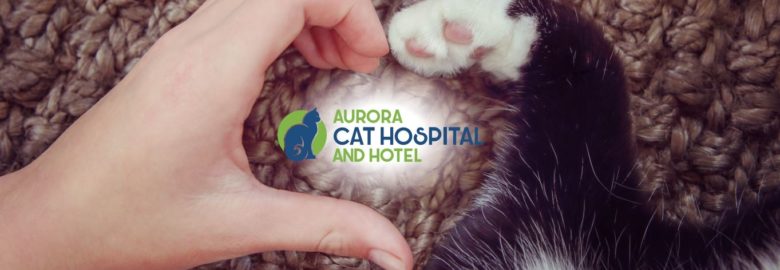 Aurora Cat Hospital