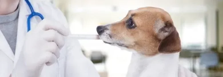 Tillmans Corner Veterinary Hospital