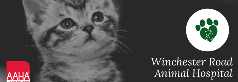 Winchester Road Animal Hospital
