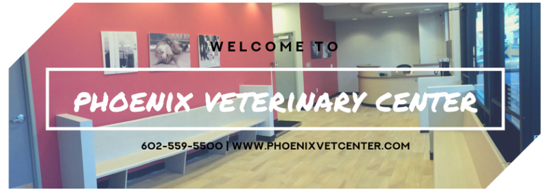 Phoenix Veterinary Center