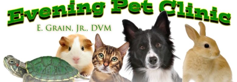 Evening Pet Clinic