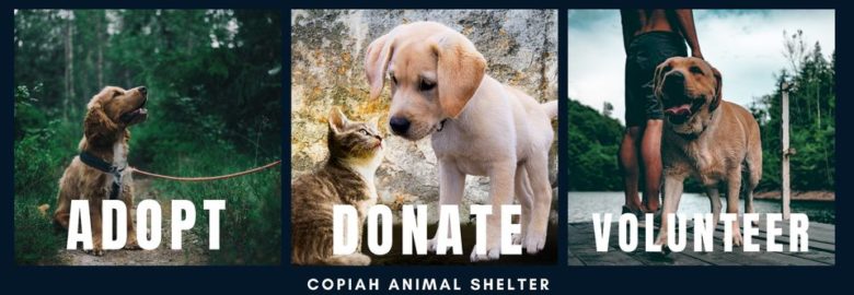 Copiah Animal Shelter