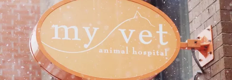 My Vet Animal Hospital