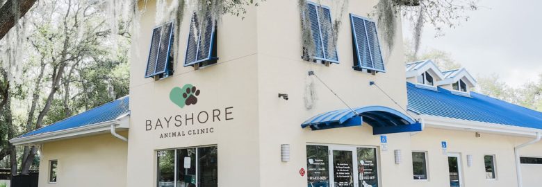 Bayshore Animal Clinic