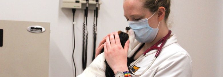 Heal Veterinary Clinic