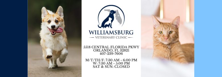 Williamsburg Veterinary Clinic
