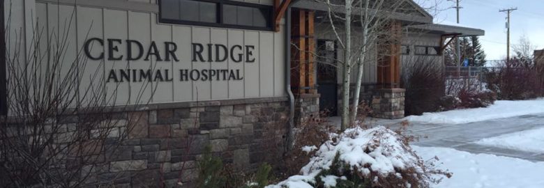 Cedar Ridge Animal Hospital
