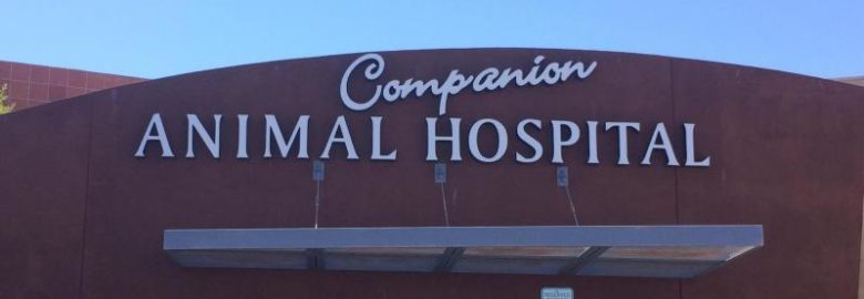 Companion Animal Hospital