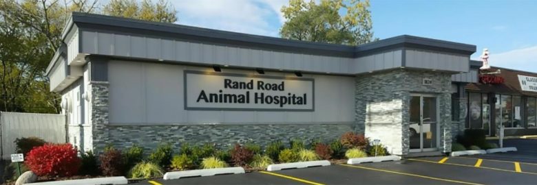 Rand Road Animal Hospital