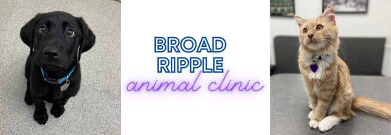 Broad Ripple Animal Clinic