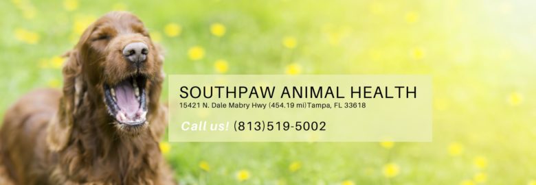 Southpaw Animal Health