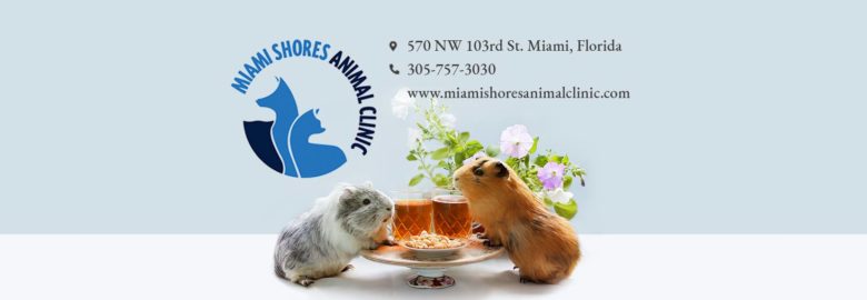 Miami Shores Animal Clinic