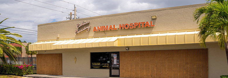Calusa Crossing Animal Hospital