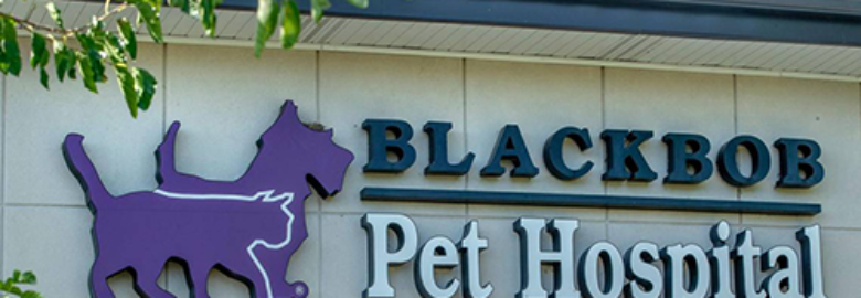 Blackbob Pet Hospital