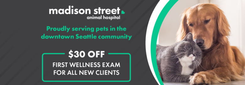 Madison Street Animal Hospital