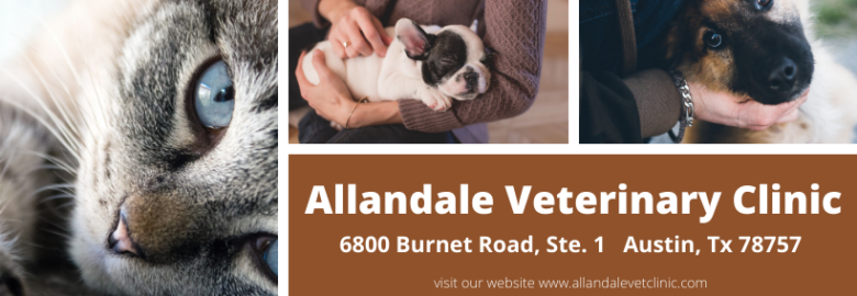 Allandale Veterinary Clinic