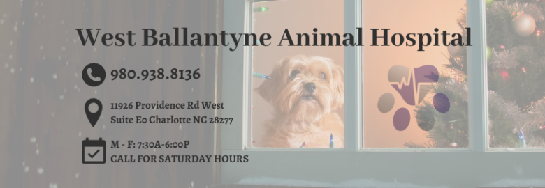 West Ballantyne Animal Hospital