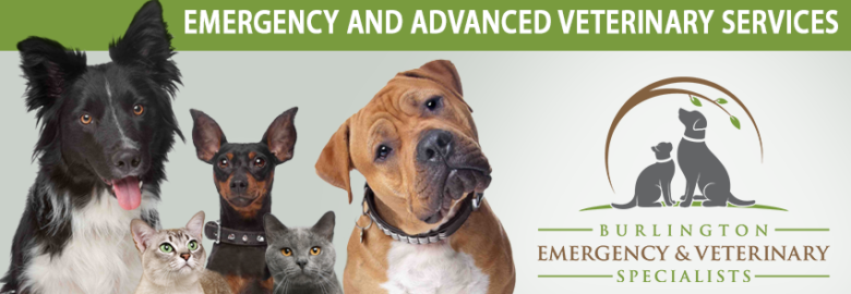 Burlington Emergency & Veterinary Specialists