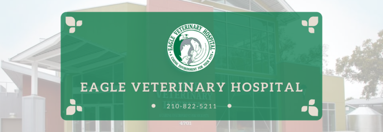 Eagle Veterinary Hospital