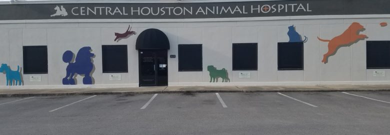 Central Houston Animal Hospital