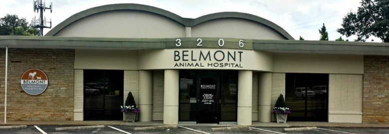Belmont Animal Hospital