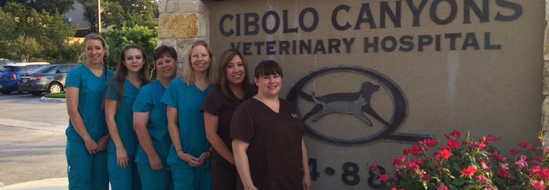 Cibolo Canyons Veterinary Hospital