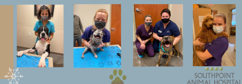 Southpoint Animal Hospital