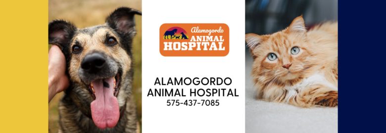 Alamogordo Animal Hospital