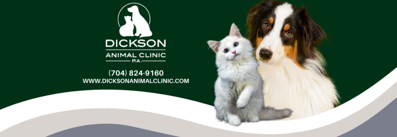 Dickson Animal Clinic