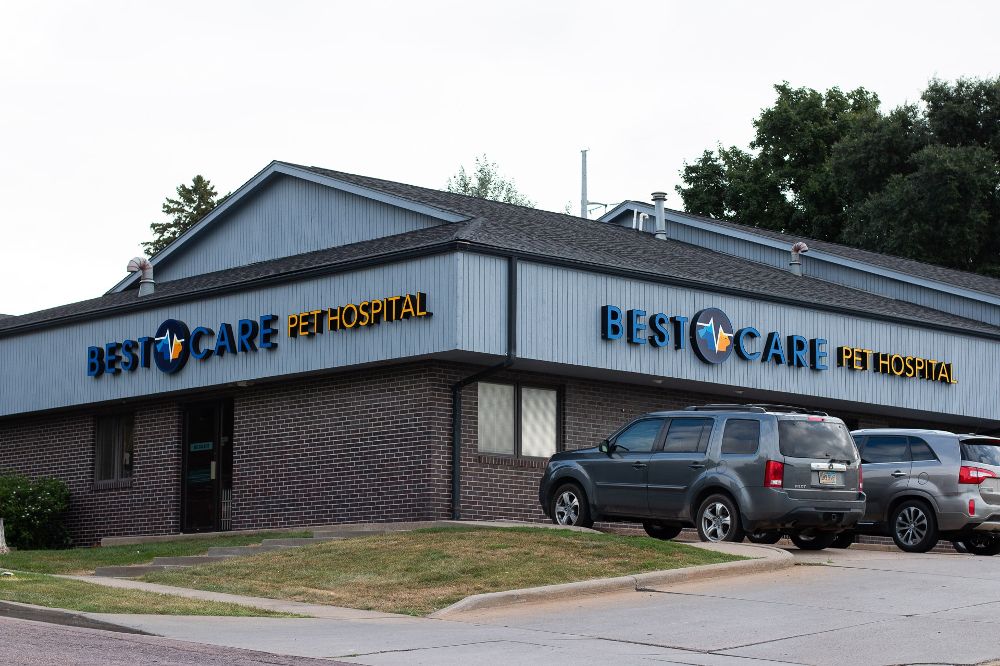 Best Care Pet Hospital Directory Datacaptive