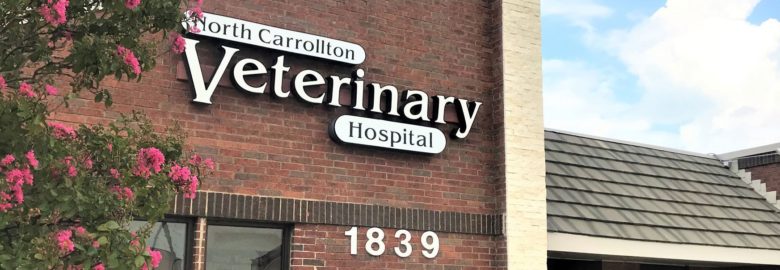 North Carrollton Veterinary Hospital
