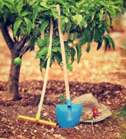 Highland Grove Landscaping & Farm