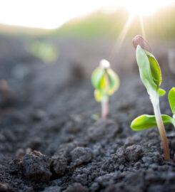 Highland Grove Landscaping & Farm